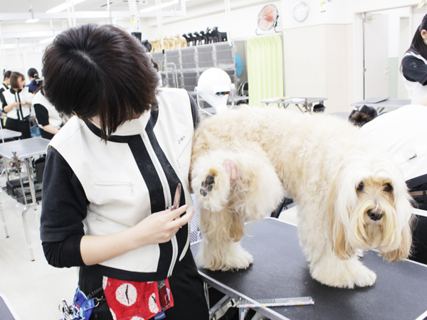 ２年生はお客様の愛犬とスキルアップ♪